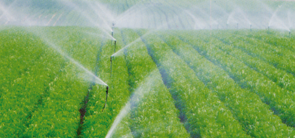 Open field irrigation