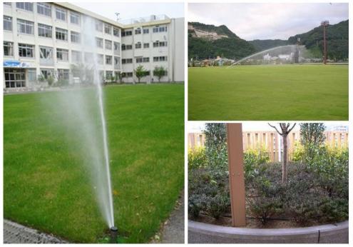 学校関連の緑化・校庭芝生化と校庭植樹