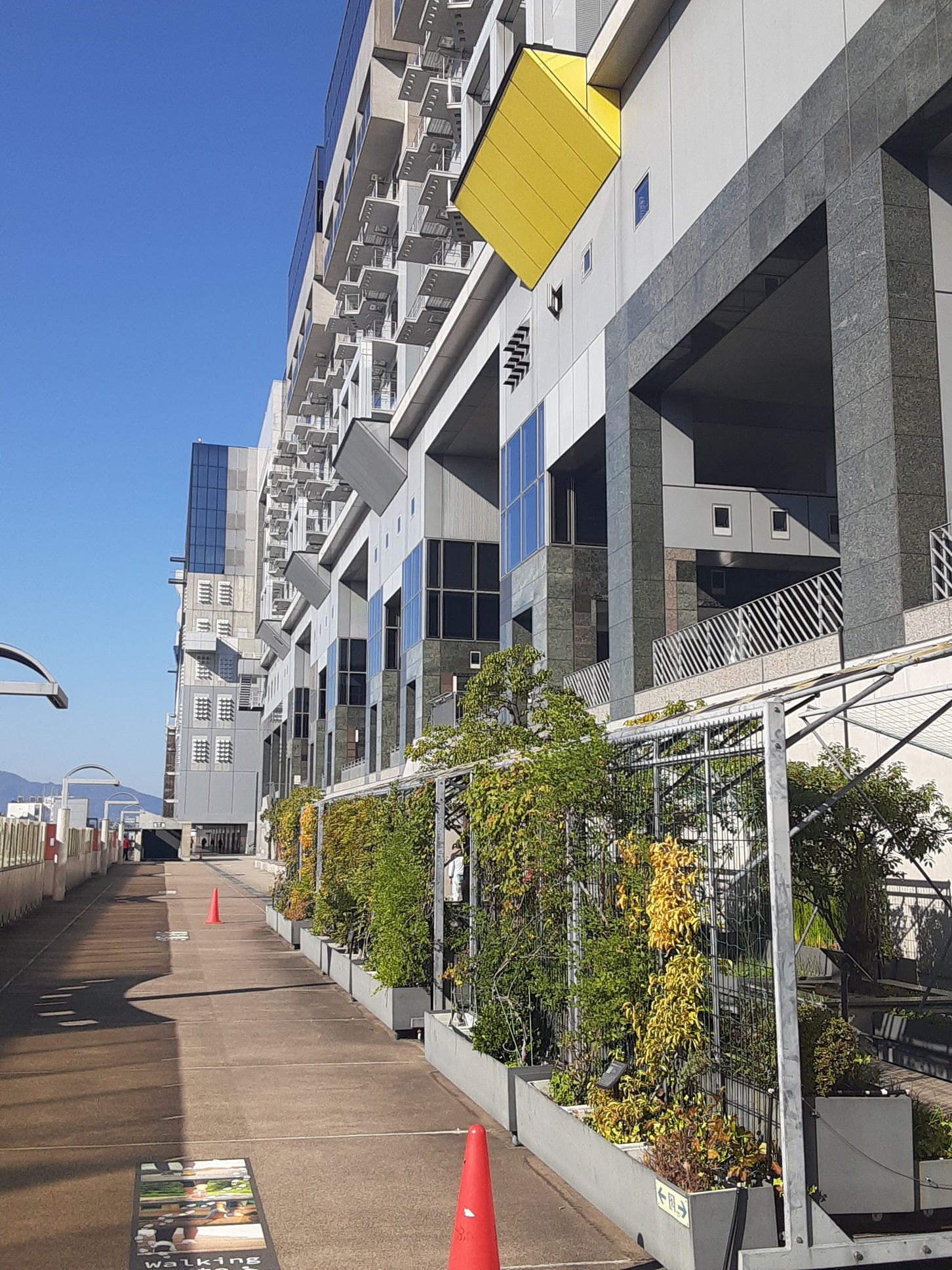 【プランターかん水】JR京都駅ビル 花壇かん水
