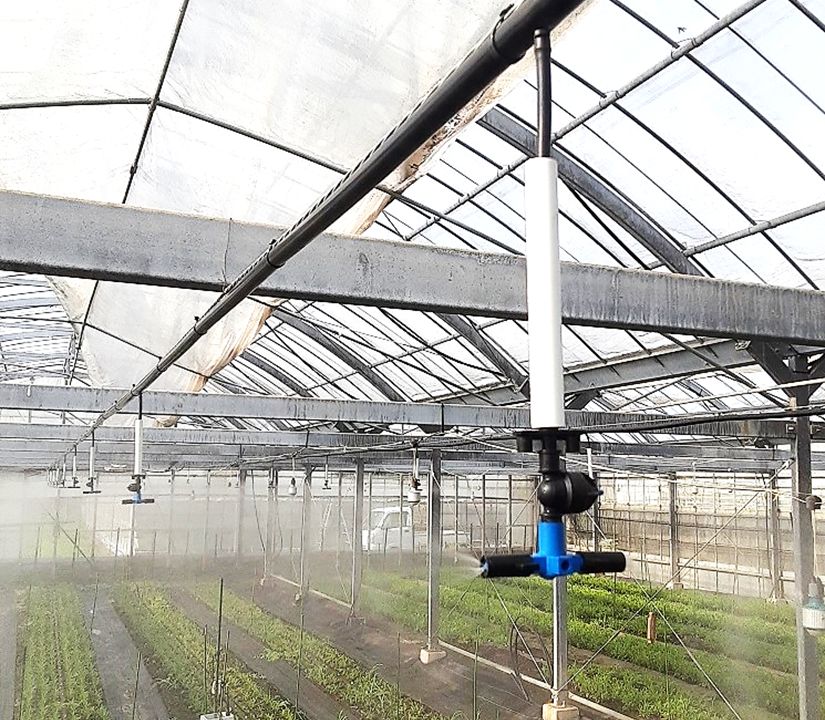 【ハウスフォガーシステム】ソリダゴハウス温度対策